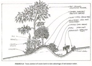 swale-cross-section