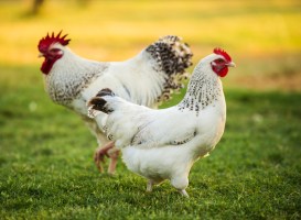 delaware-104-bitethecrapoutofyou