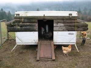 Chicken Tent Trailer