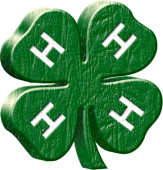 4H-Shamrock