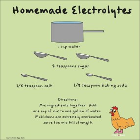 Homemade Electrolytes