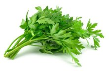 parsley-leaves-480x318