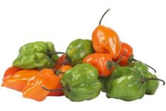 habaneros