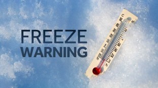 38581136-image-freeze-warning