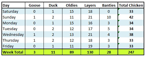 Egg Report week of 03242018