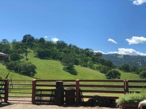 31068972_10211153209406085_188663705561464832_n Yolo Land and Cattle ranch