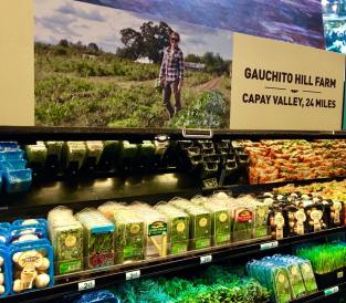 Thea Rittenhouse an NCAT instructor garden