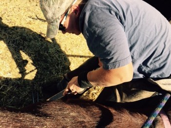 Jolene &amp; Taco George