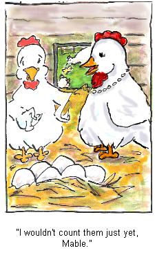 counting chickens