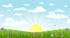 countryside-panorama-morning-vector-illustration-beautiful-landscape-rural-scene-green-field-bright-sun-52053140