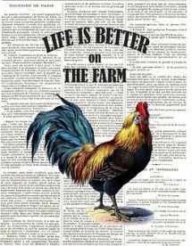 life is better on the farm