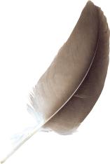 feather.png