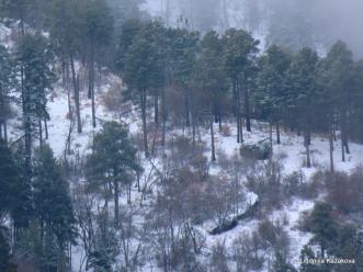 snow in miller canyon 12262018