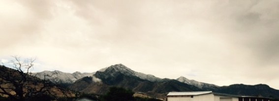 snow on the mountain