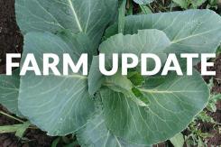farm_update_f4182b9c-fc3b-4d96-b2fe-922e15beb67f_2048x