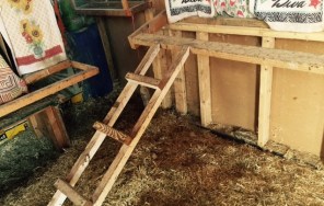 FullSizeRender - 2019-03-20T163526.068