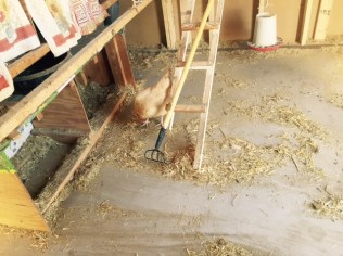 FullSizeRender - 2019-03-26T194211.083