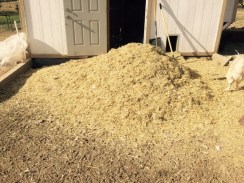 FullSizeRender - 2019-03-26T194236.961