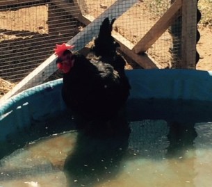 FullSizeRender - 2019-04-19T152755.003