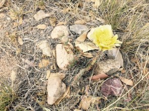 FullSizeRender - 2019-05-10T144453.490