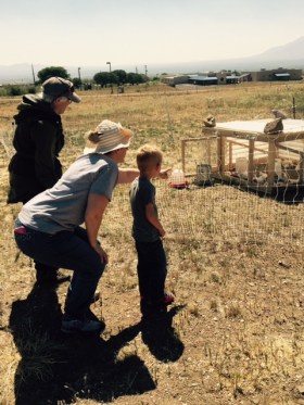 FullSizeRender - 2019-06-01T141344.377