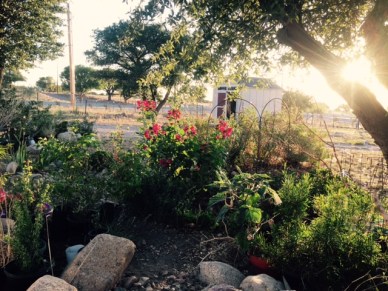 FullSizeRender - 2019-06-08T124434.732