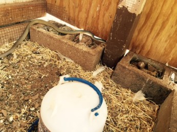 FullSizeRender - 2019-07-11T194610.711