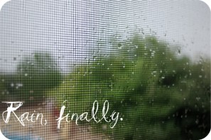 rainfinally