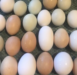 AAF962E2-082C-48D6-B844-A7D333B7ED52