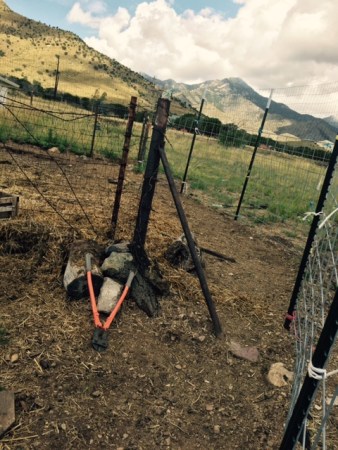 FullSizeRender - 2019-08-01T201533.579