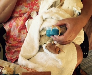 FullSizeRender - 2019-08-13T172134.561