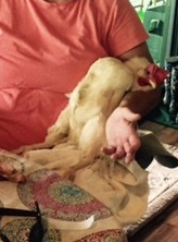 FullSizeRender - 2019-08-25T161332.369