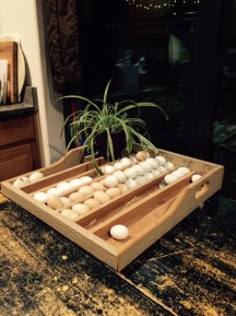 FullSizeRender - 2019-08-25T161424.428