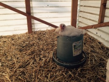 FullSizeRender - 2019-08-29T181626.176