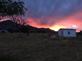 IMG_4598