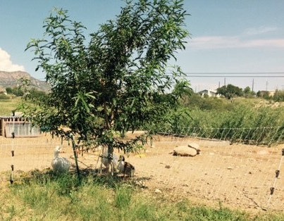 FullSizeRender - 2019-09-03T191540.080