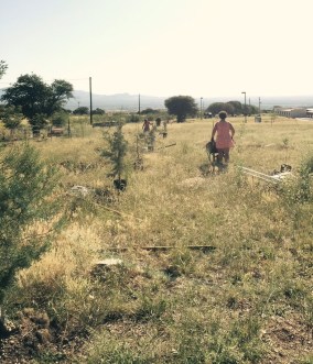 FullSizeRender - 2019-09-17T185527.530