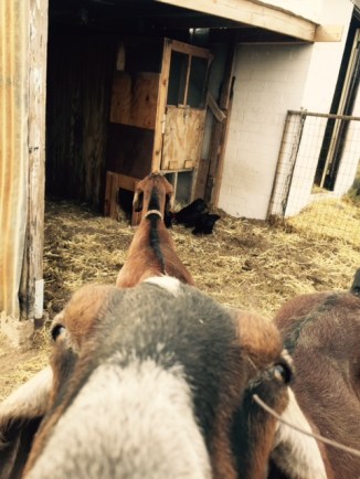 FullSizeRender - 2019-09-19T165126.124