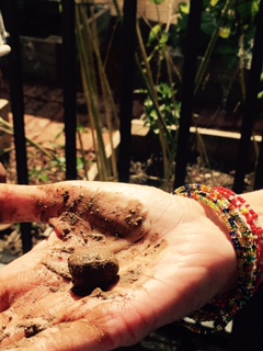 FullSizeRender - 2019-10-05T160227.411