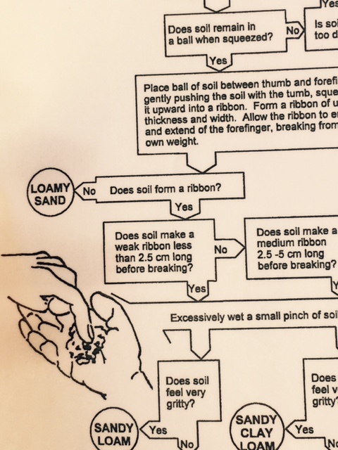 FullSizeRender - 2019-10-05T160240.070