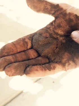 FullSizeRender - 2019-10-05T160250.137