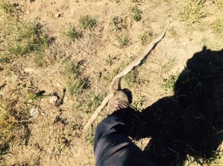 FullSizeRender - 2019-10-15T164049.739