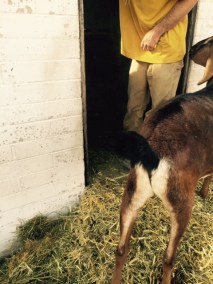 FullSizeRender - 2019-11-26T165950.723