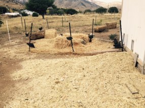 FullSizeRender - 2019-11-26T170007.824