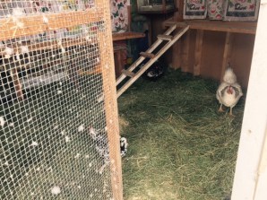 FullSizeRender - 2019-11-26T170017.375