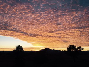 FullSizeRender - 2019-12-05T170936.150