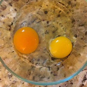 duck-egg-versus-chicken-egg