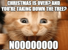 taking down the tree