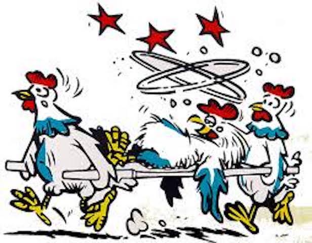 chicken-on-stretcher