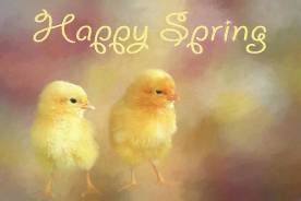 happy-spring-donna-kennedy